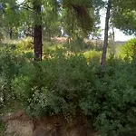 Sea & Forest-cozy With Garden & Nature Views Casa vacanze *