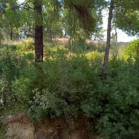 Sea & Forest-cozy With Garden & Nature Views Hébergement de vacances *