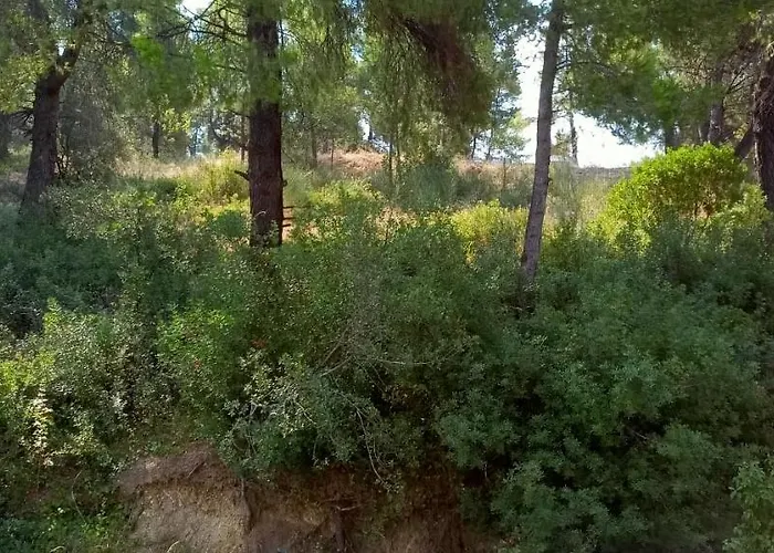 Sea & Forest-cozy With Garden & Nature Views Semesterbostad *
